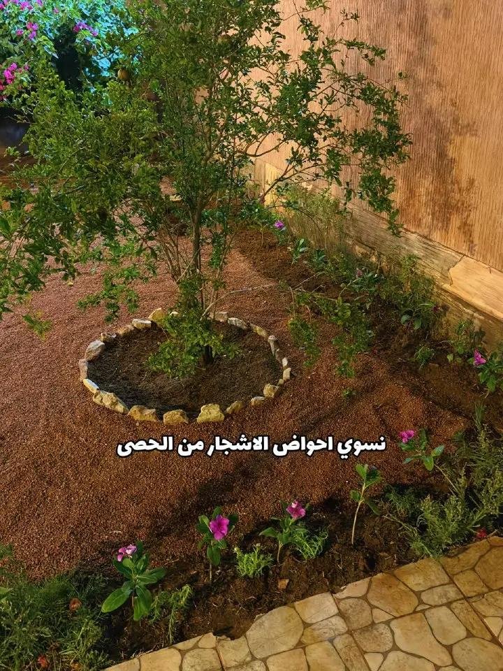 تنسيق أحواض وأشجار من أعمال عود النسيم